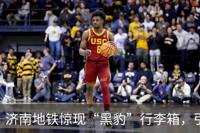 济南地铁惊现“黑豹”行李箱，引发乘客热议
